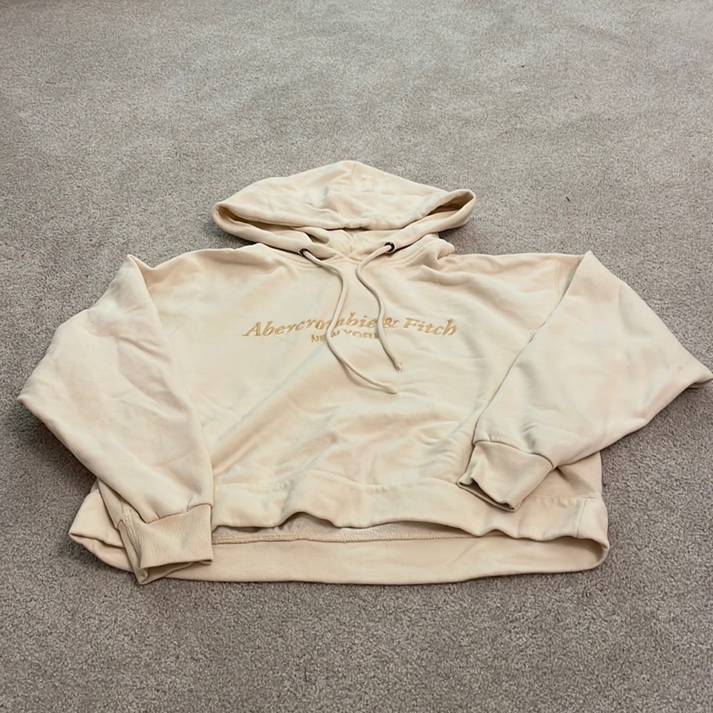 Abercrombie & Fitch Cropped Hoodie